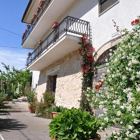 B&B La Palombara Giuliano di Roma Luaran gambar