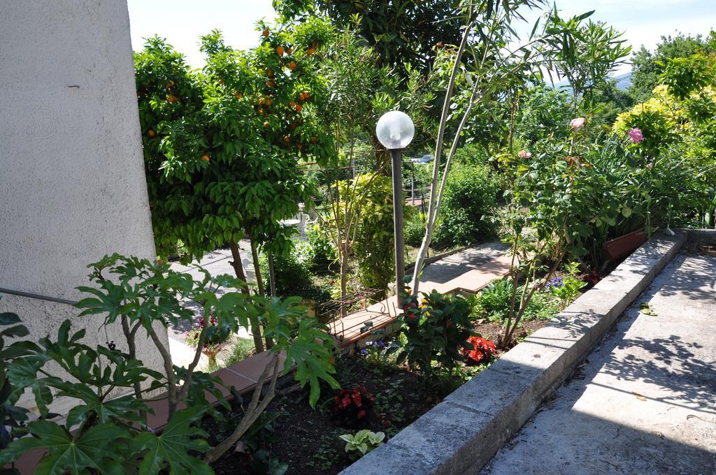 B&B La Palombara Giuliano di Roma Luaran gambar