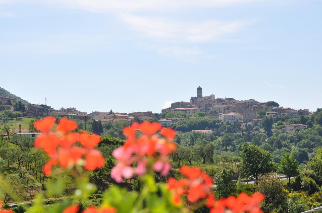 B&B La Palombara Giuliano di Roma Luaran gambar